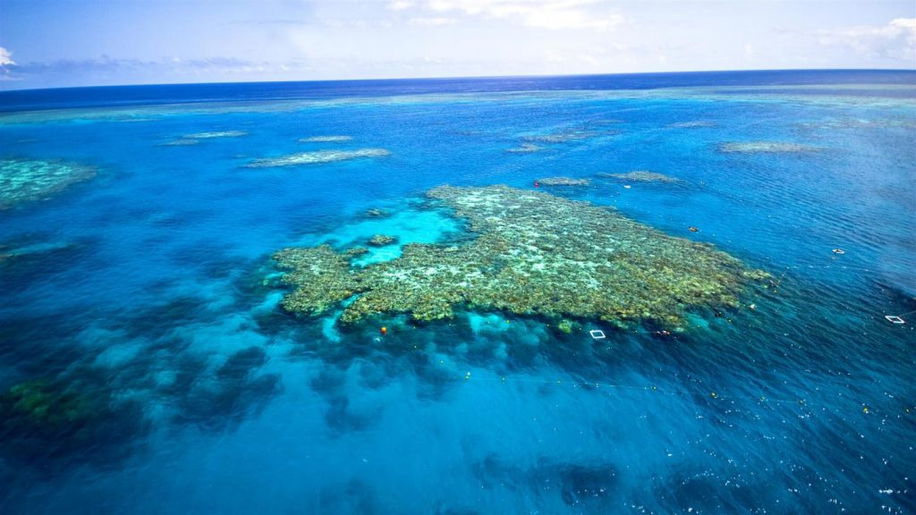 莫里森政府对化石燃料的痴迷，正在威胁着大堡礁的生存
