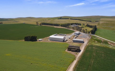克莱尔谷农场在Jaeschke收购后创造了南澳拍卖纪录
