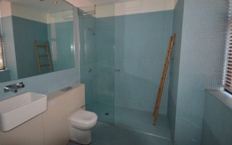 租房危机中，租客被限制使用卧室和浴室的漏水单元以每周650元的价格上市