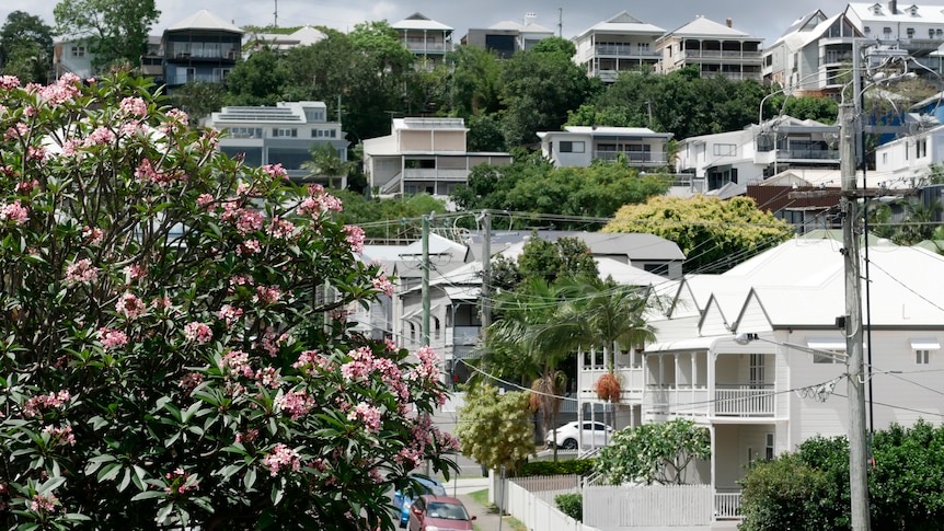 全澳房价再次下跌，悉尼年度下降 6%，乡镇地区紧随其后